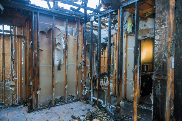 Professional Fire Damage Assessment technician working in Kaumakani, HI